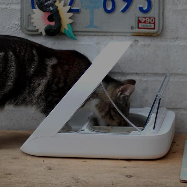 SureFeed® Microchip Pet Feeder Bowls and Mats