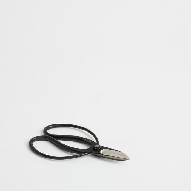 Carbon Steel Japanese Garden Scissors