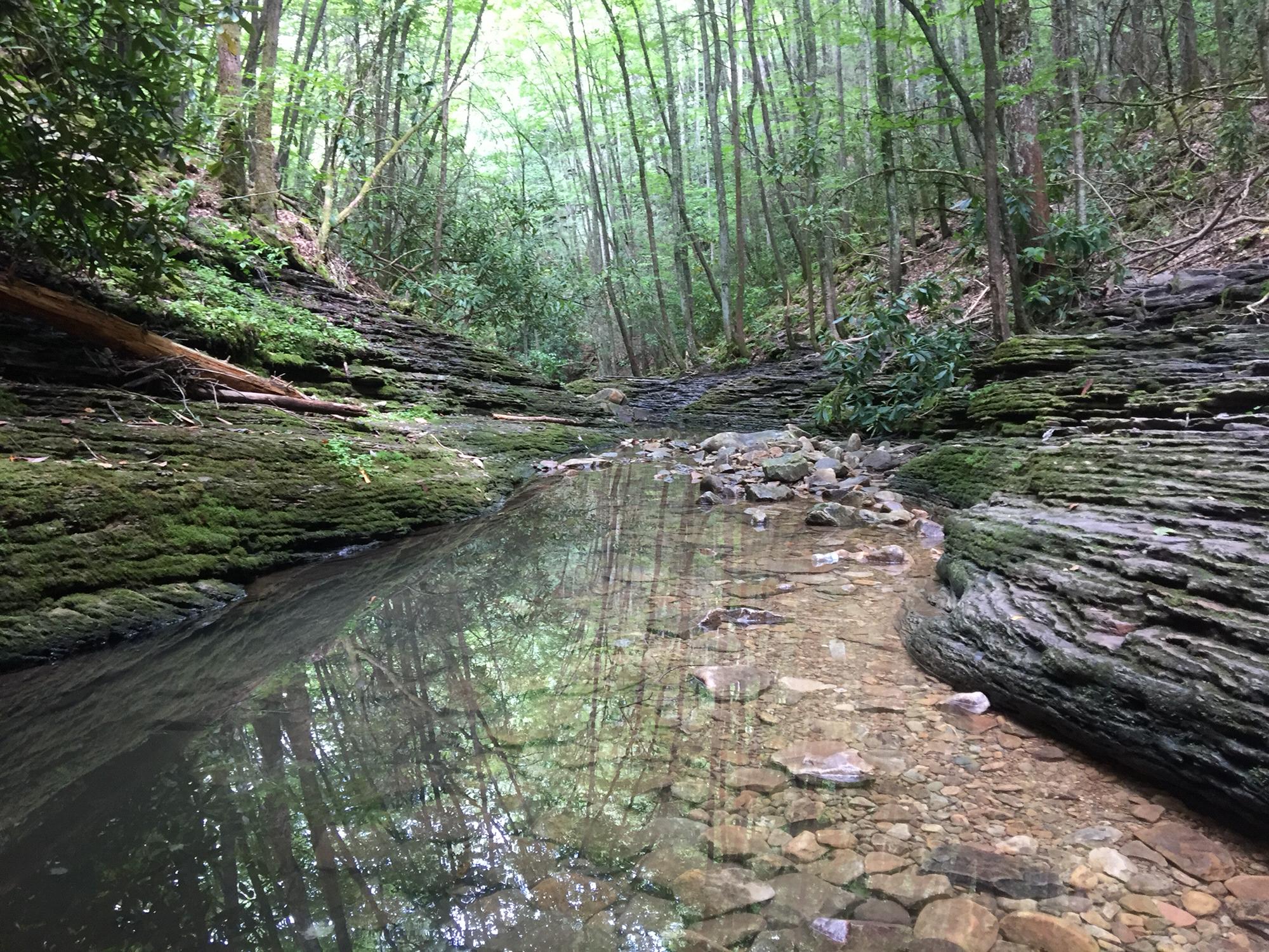 Devil's Bathtub Hiking Trail. "The Devils Icebox" would be a more suitable identifier. Otherworldly beauty and mysterious landscape