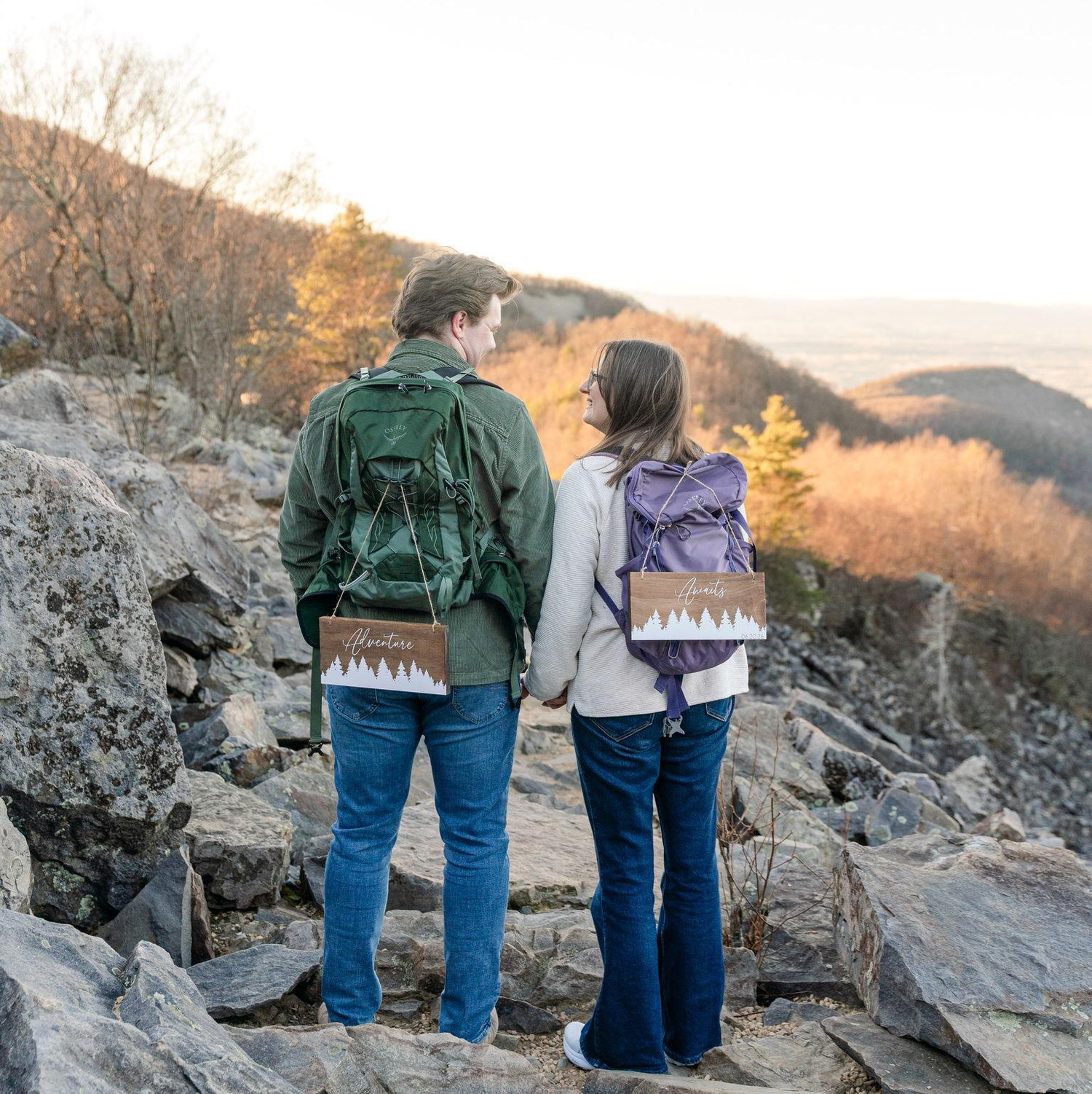 Shenandoah National Park, Engagement Shoot
