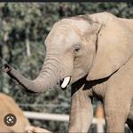San Diego Zoo