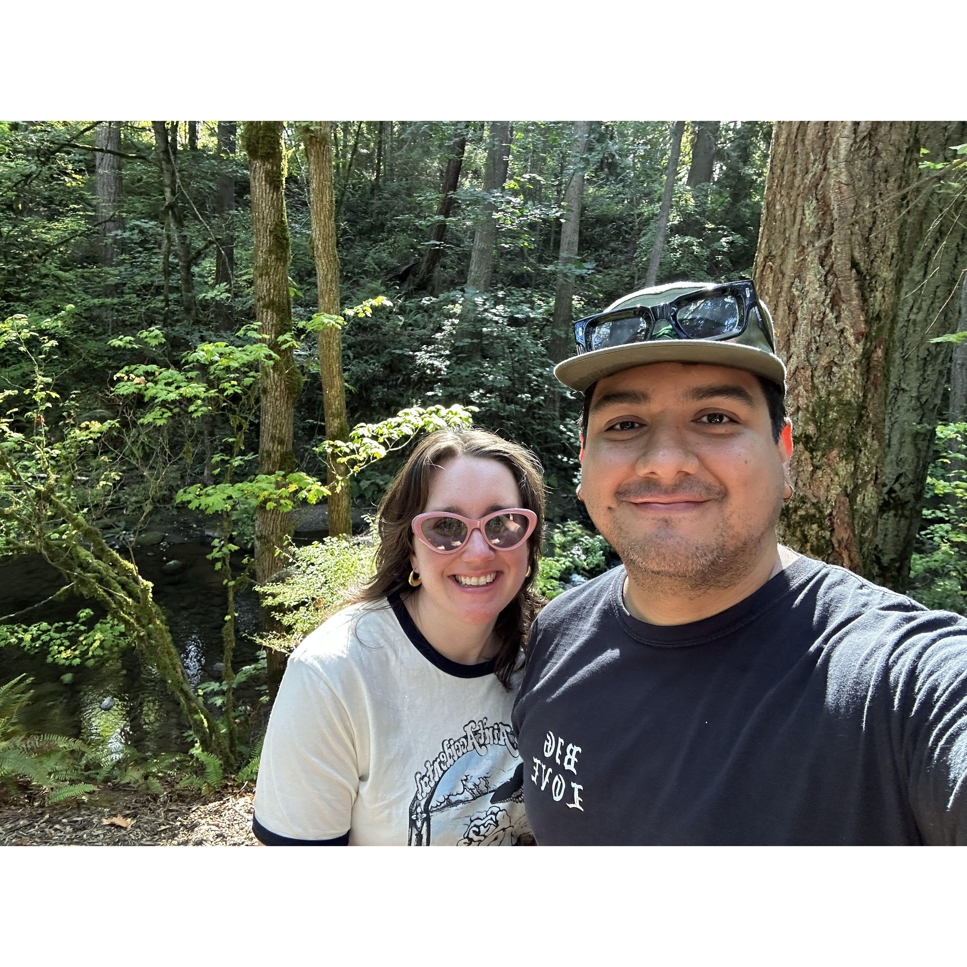 Whatcom Falls in Bellingham, WA.