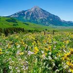 Crested Butte Activities
