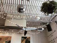 TrimTab Brewing Company