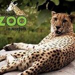 Virginia Zoo
