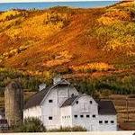 Park City
