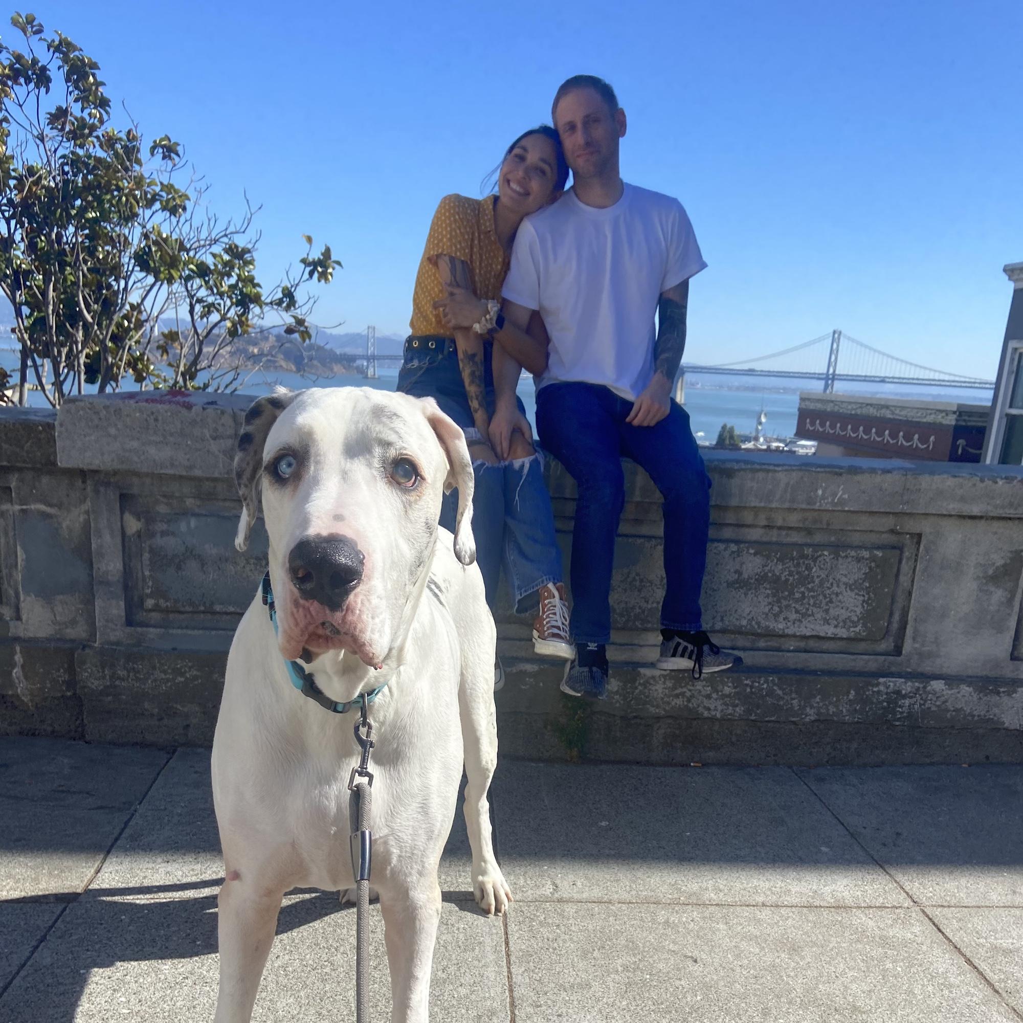 Posing in San Francisco with the Greatest Dane
