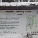 Cranbrook Community Forest - College of the Rockies Trailhead