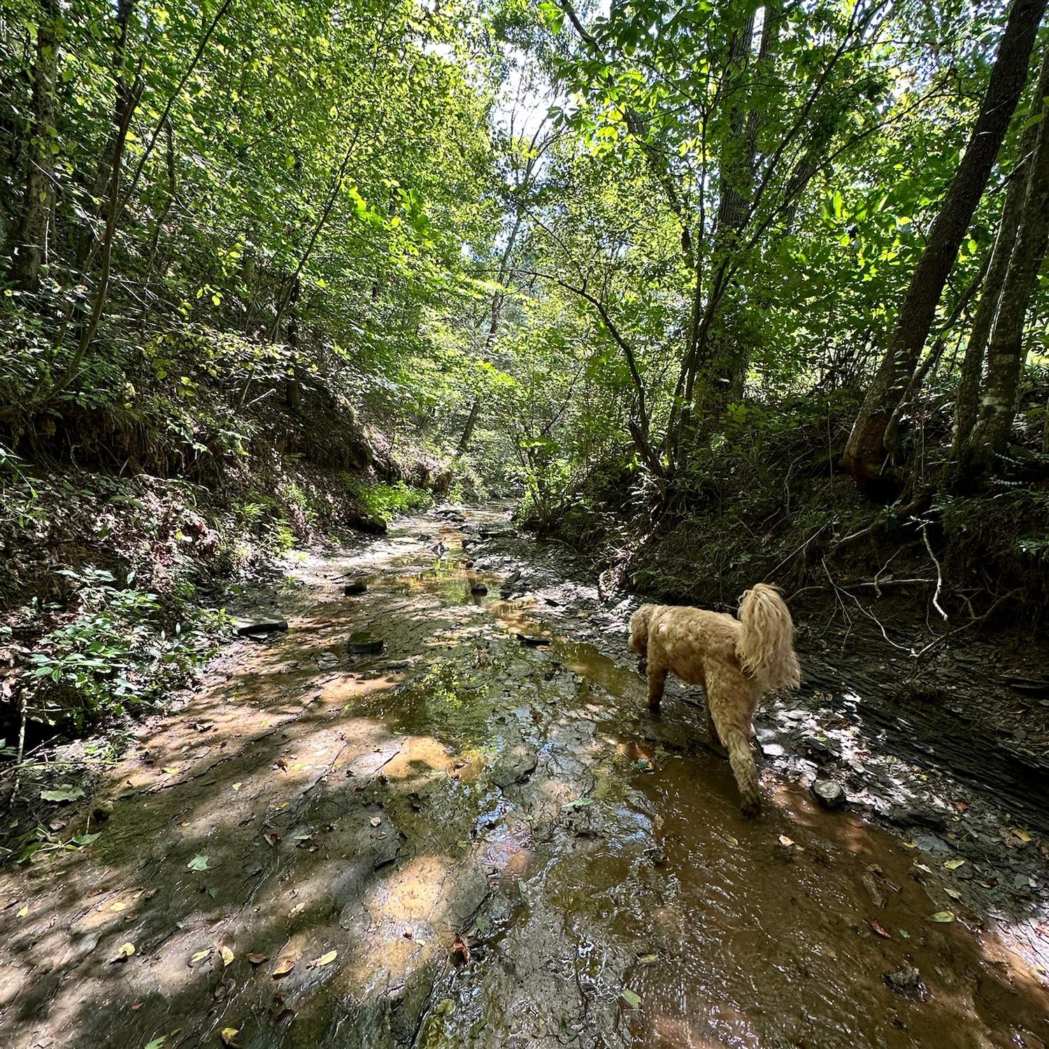 The creek feat. Indiana