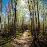 The Noquemanon North Trails