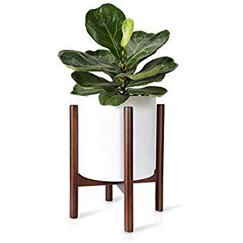 Fox & Fern Mid-Century Modern Plant Stand - Acacia - EXCLUDING 12" White Ceramic Plant Pot