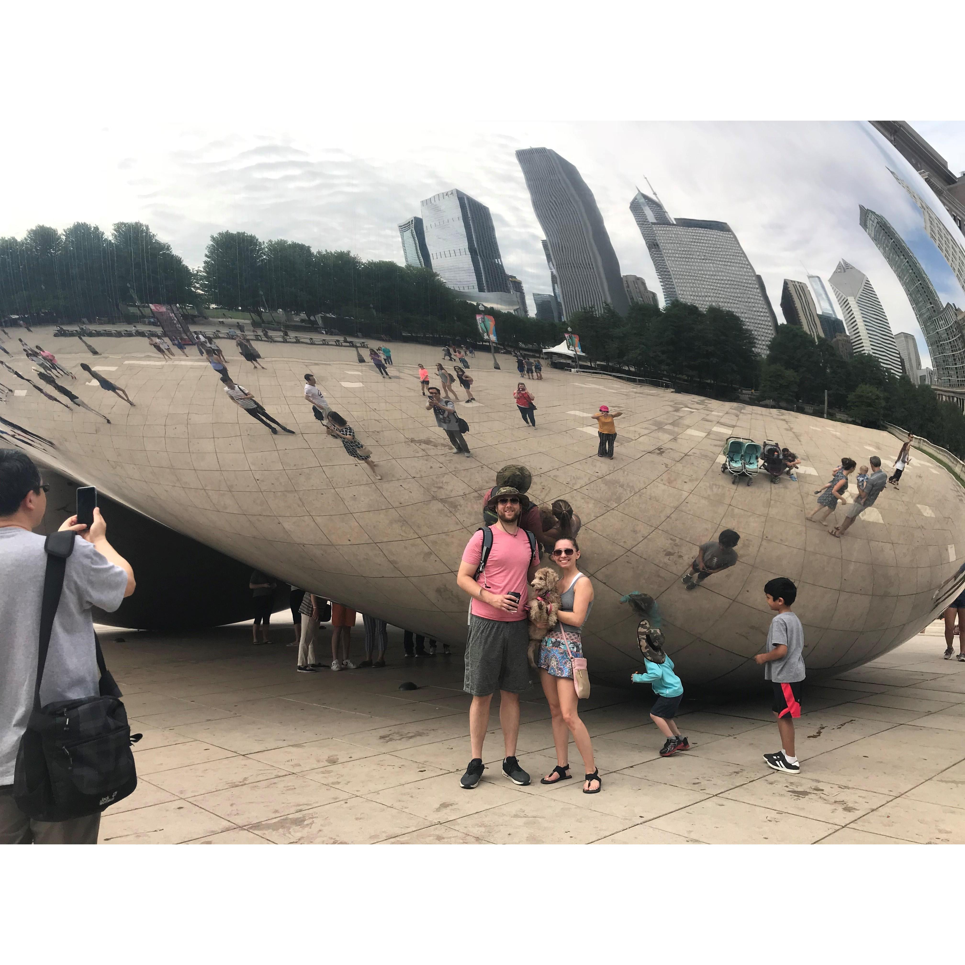 We got yelled at for having a dog by the bean but the cop did say we could take a quick photo.