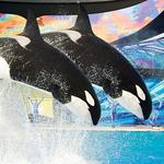 SeaWorld San Antonio