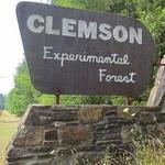 Explore the Clemson Experimental Forest