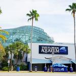 The Florida Aquarium