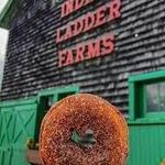 Indian Ladder Farms Cidery and Brewery