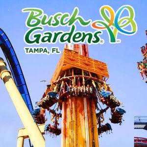 Honeymoon Busch Gardens Trip