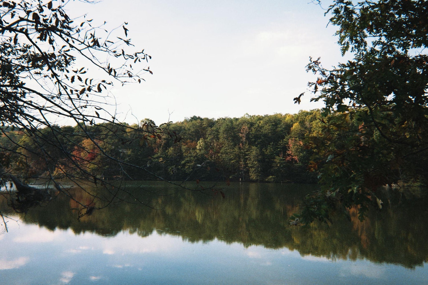 The Wedding Website of Alexis Clifton and David Weaver