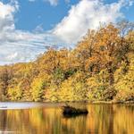 Watchung Reservation Trails