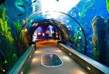 Oregon Coast Aquarium