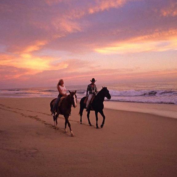 Horseback Riding On The Beach, Hawaii - Post Covid