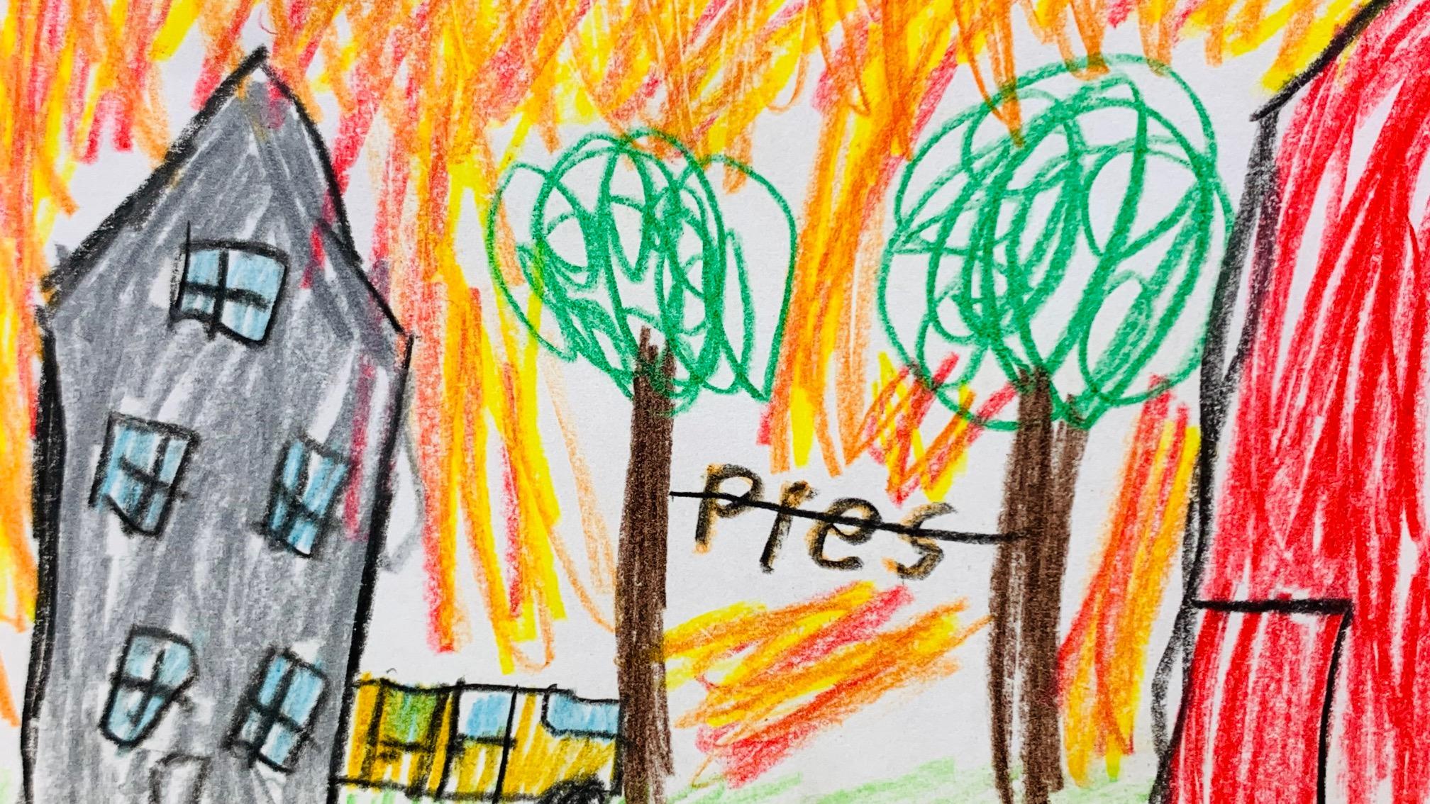 The Wedding Website of Ilana Stollman and David Graveen