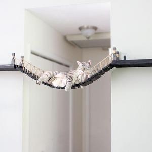 Catastrophic Creations: Roped Cat Bridge