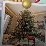 Holiday Historic Tour