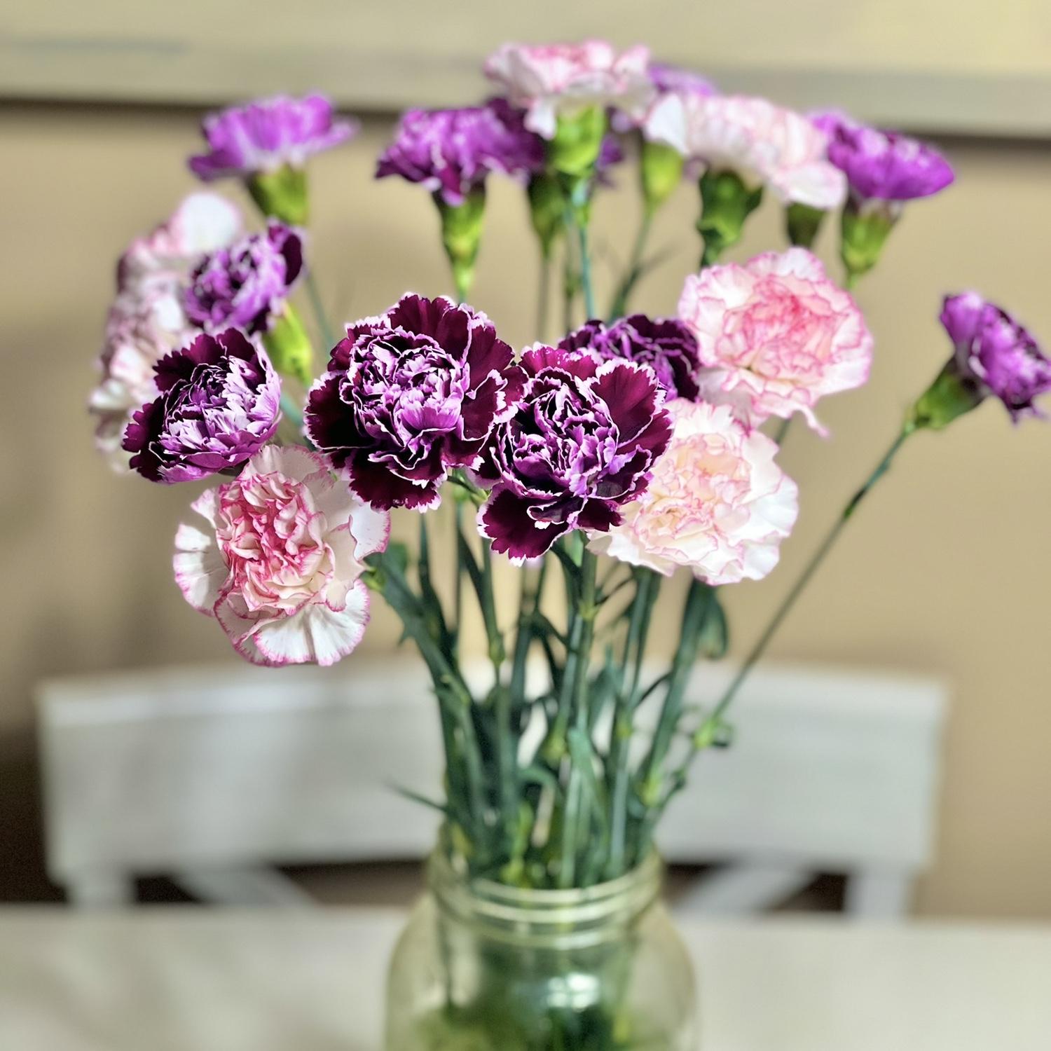 All the flowers he bought me our time together💐(There are more I just forgot to get pictures of)