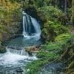 Virgin Creek Falls Trailhead