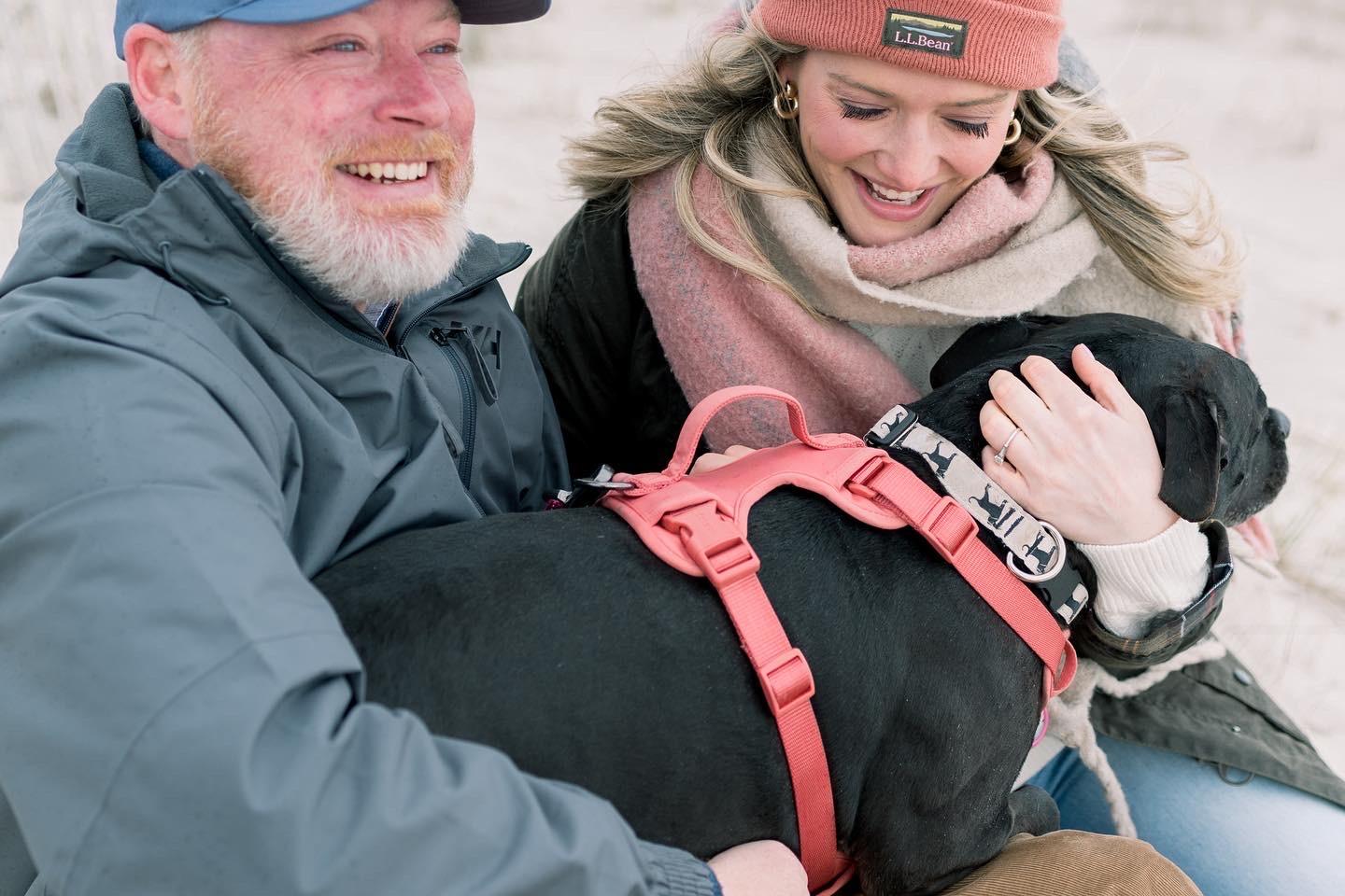 3d87f93e-e7b4-4783-bb8d-31c0782344ee