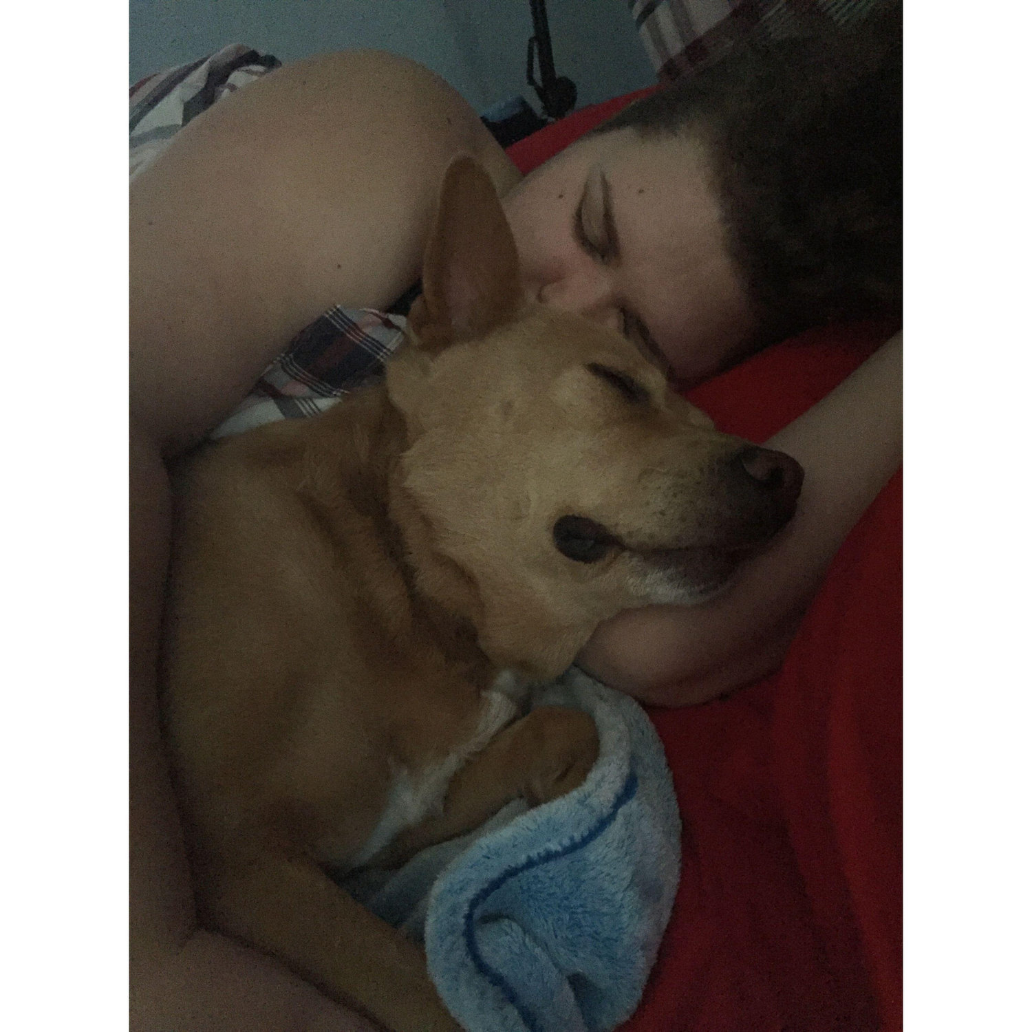 Cuddle Puddles
