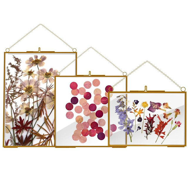 HSDSH 3 Pcs Glass Picture Frame for Pressed Flower,Golden Hanging Photo Frame Clear Glass Artwork Display Frame with Chain for Dried Plant Gallery Wall Decor DIY Home Wall Art