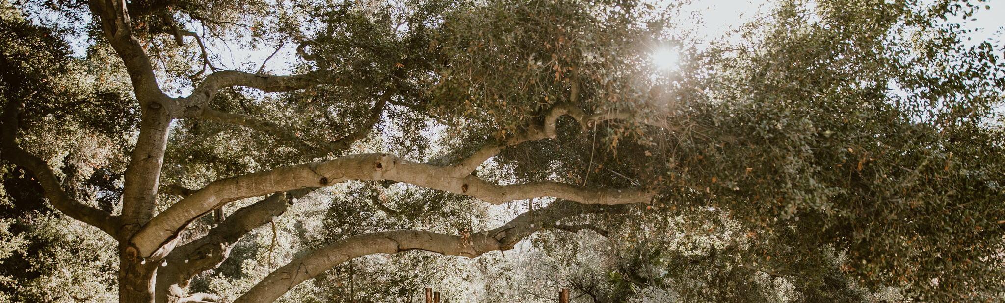 The Wedding Website of Jonathan Walburg and Justin Oberste