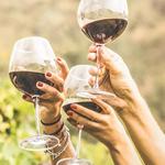 Wine Tasting