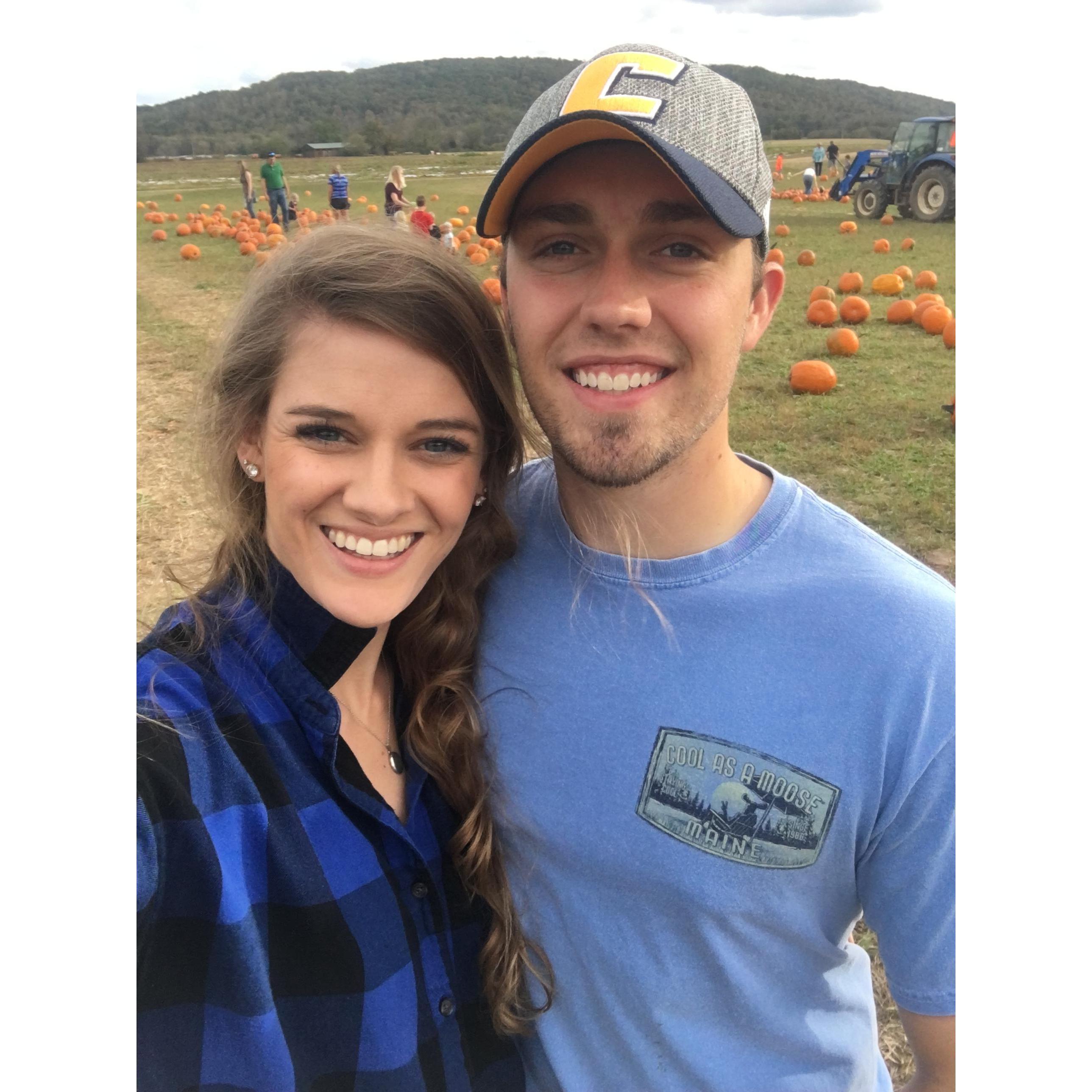 The Pumpkin Patch in Chattanooga