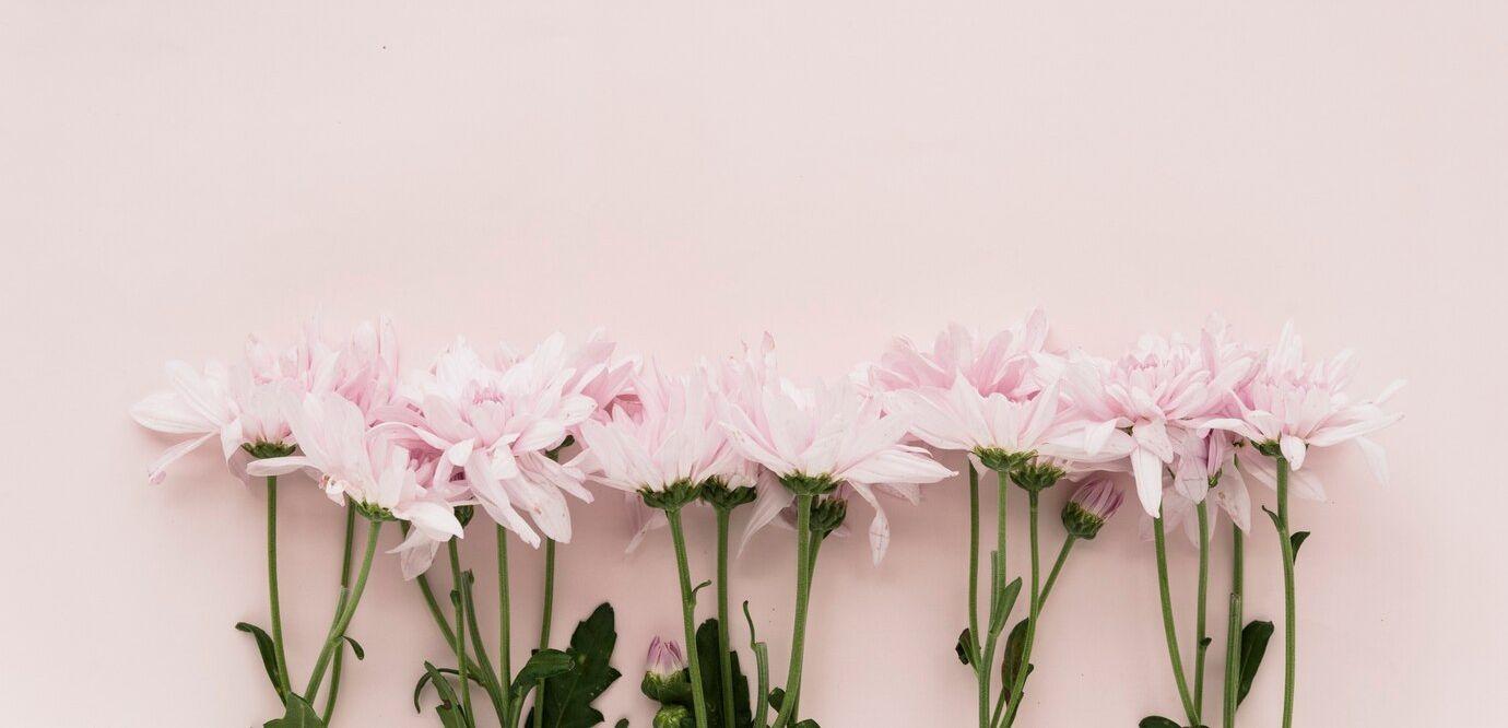 The Wedding Website of Mikayla Cupp and Kevin Malerman