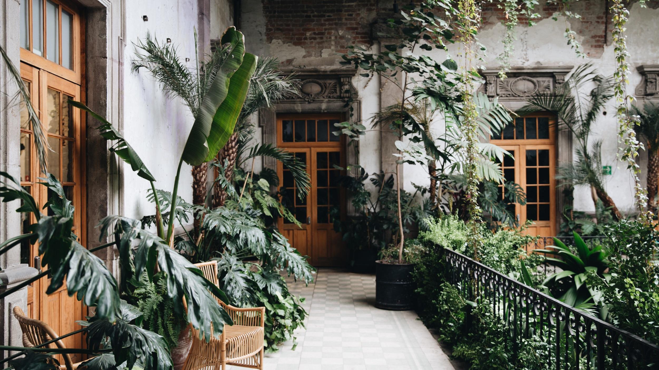 The Wedding Website of Bianca Garcia and Evan Weintraub