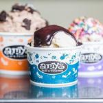 Amy's Ice Creams