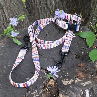Classic Adventure Leash