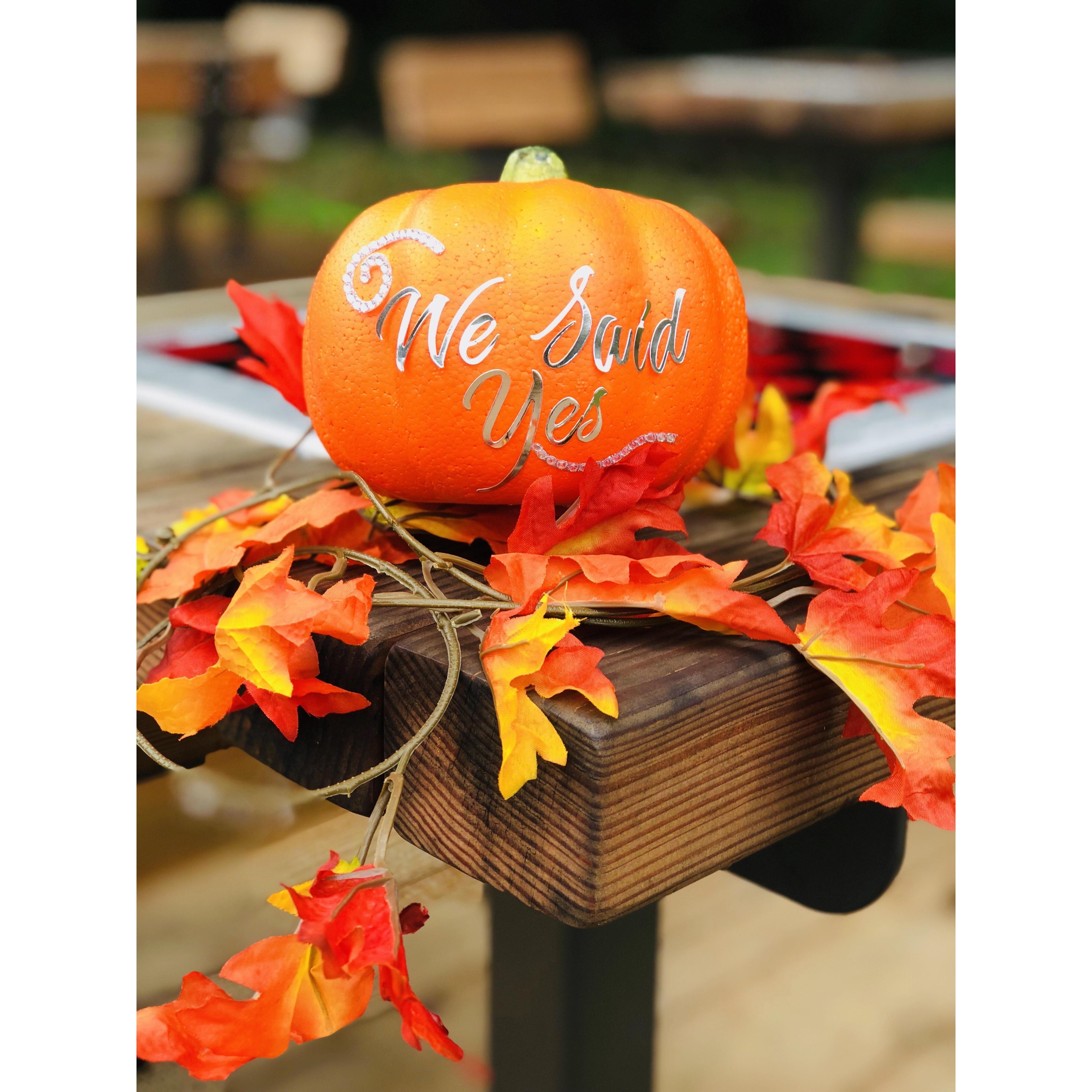 “We”Said Yes !