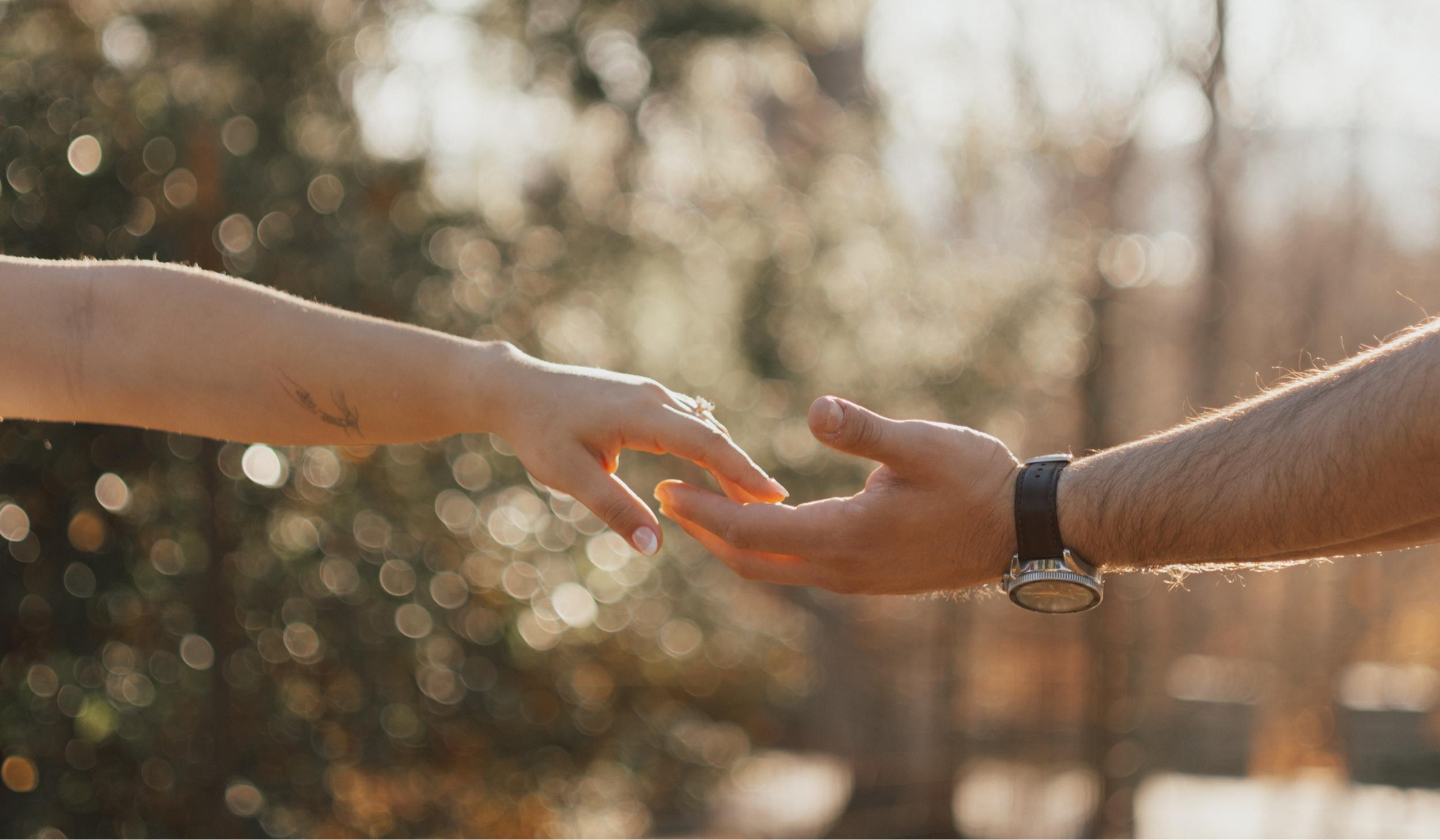 The Wedding Website of Nicholas Fede and Sara Torres