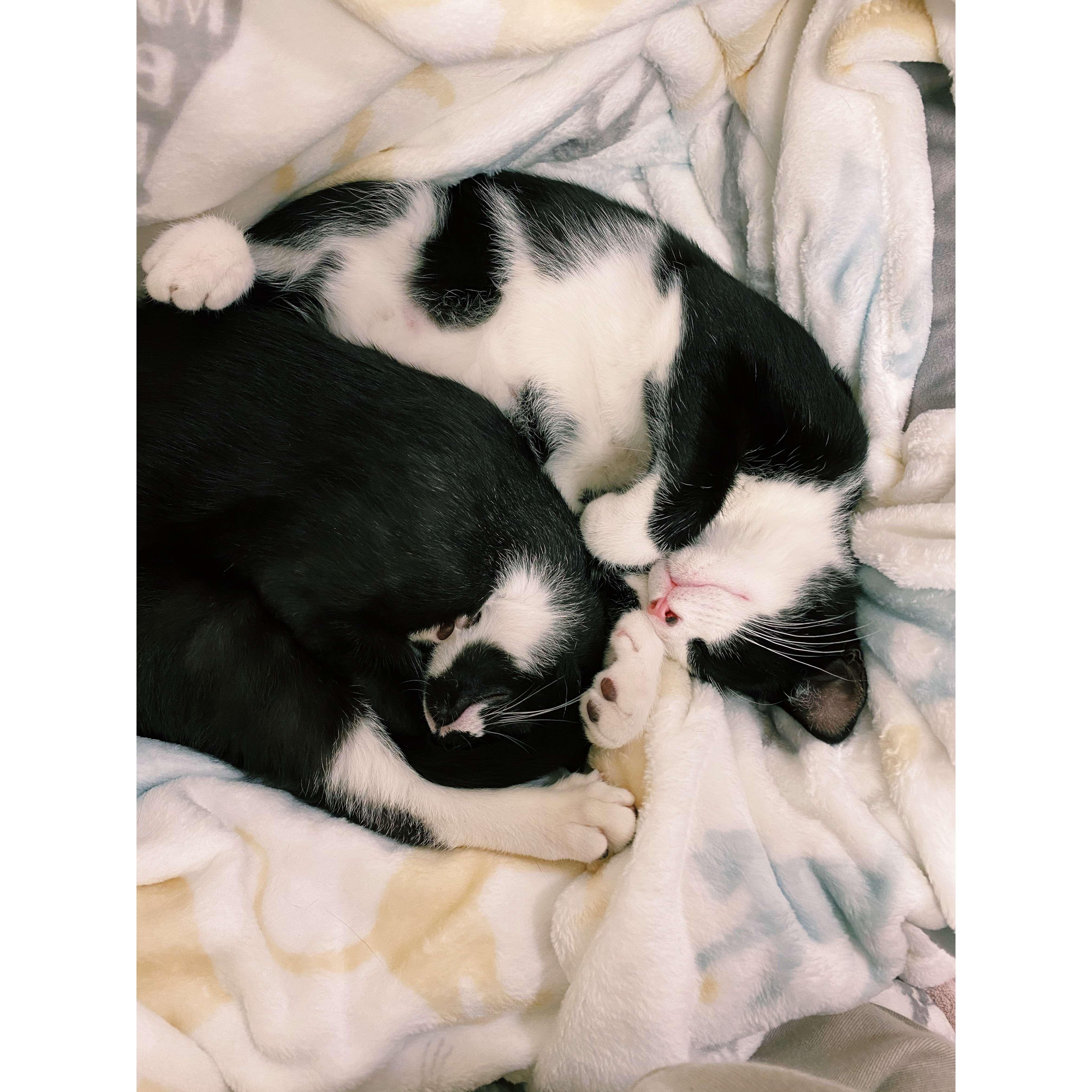 Our first day with the Brothers