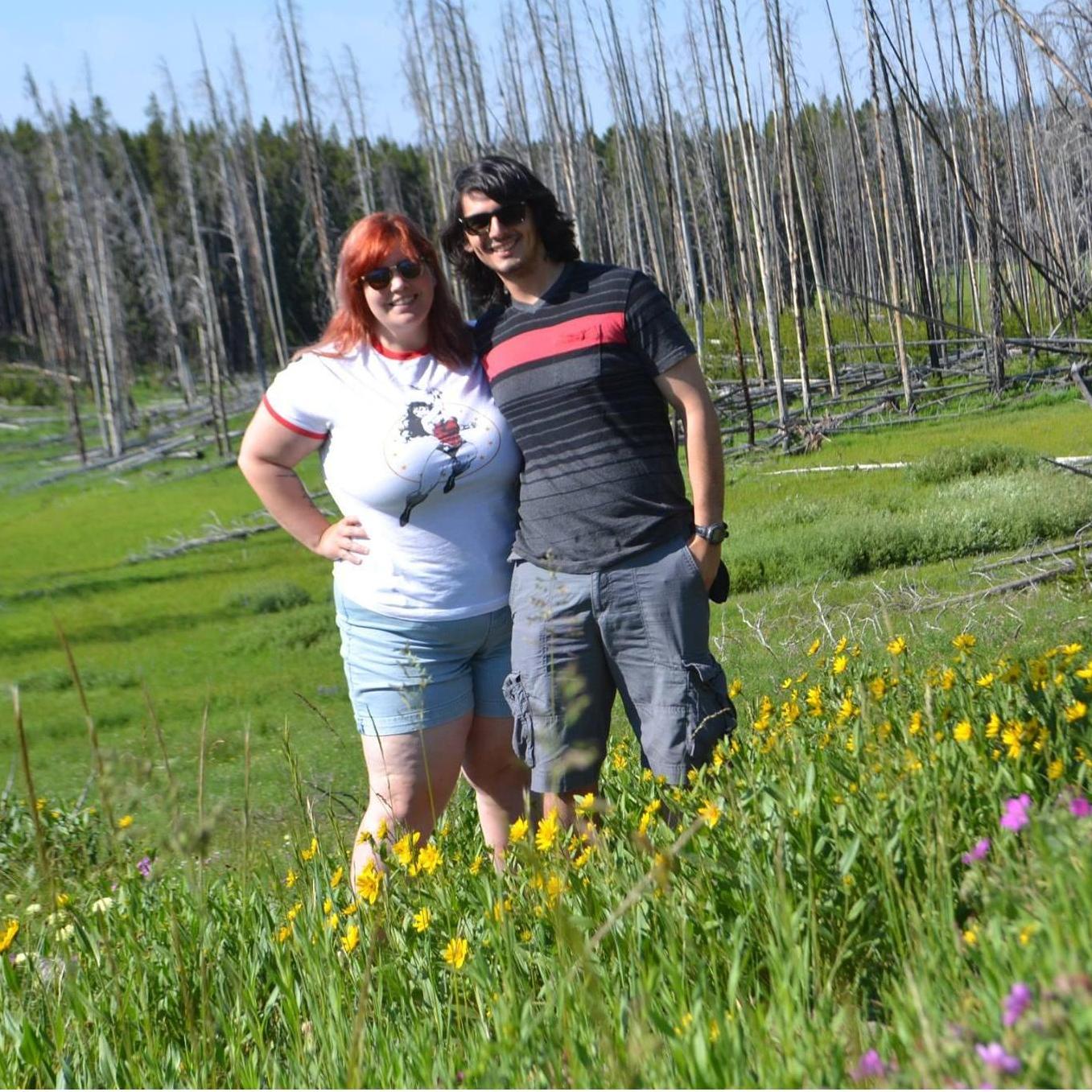 Wildflowers and wildfire scars in Yellowstone!