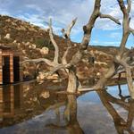 Bruma Valle de Guadalupe