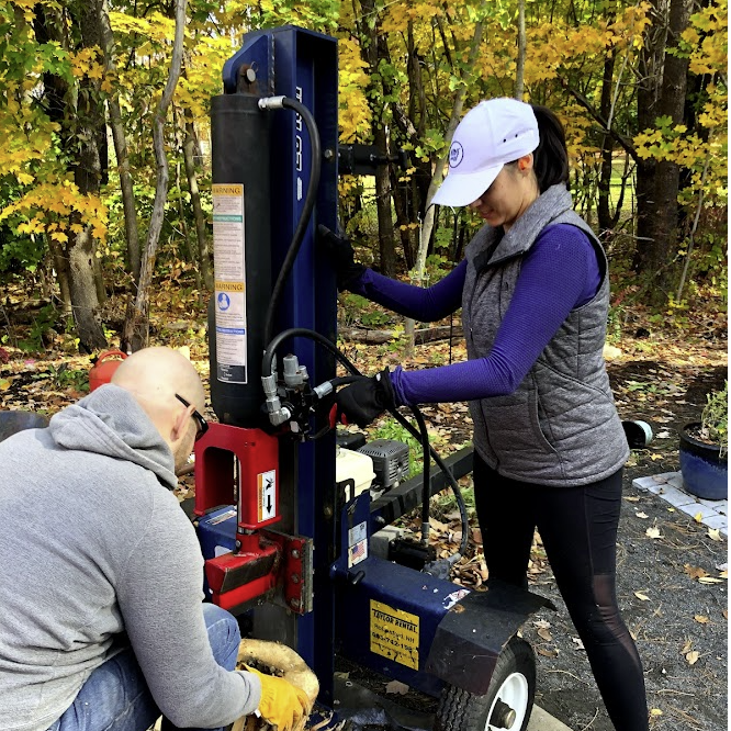 October 2020: Tree cutting in Dover, NH