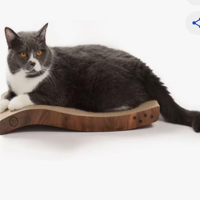 NECOICHI Ripple Reversible Cat Scratcher, Oak Brown - Chewy.com