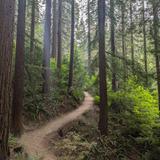Forest Park