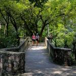parque colomos jalisco