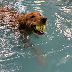 Cora's indoor swim club!